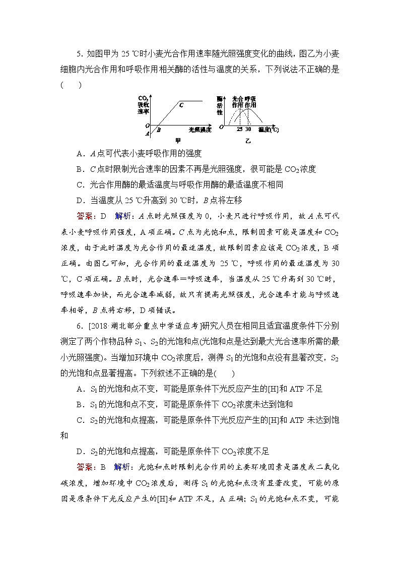 2019届高考生物一轮复习：课时作业11光与光合作用(Ⅱ)（含解析）第3页