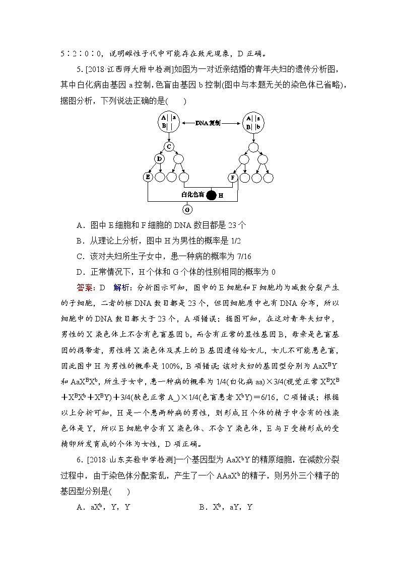 2019届高考生物一轮复习：课时作业18基因在染色体上　伴性遗传（含解析） 练习03