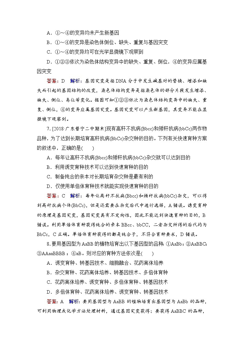 2019届高考生物一轮复习：课时作业24染色体变异与育种（含解析） 练习03