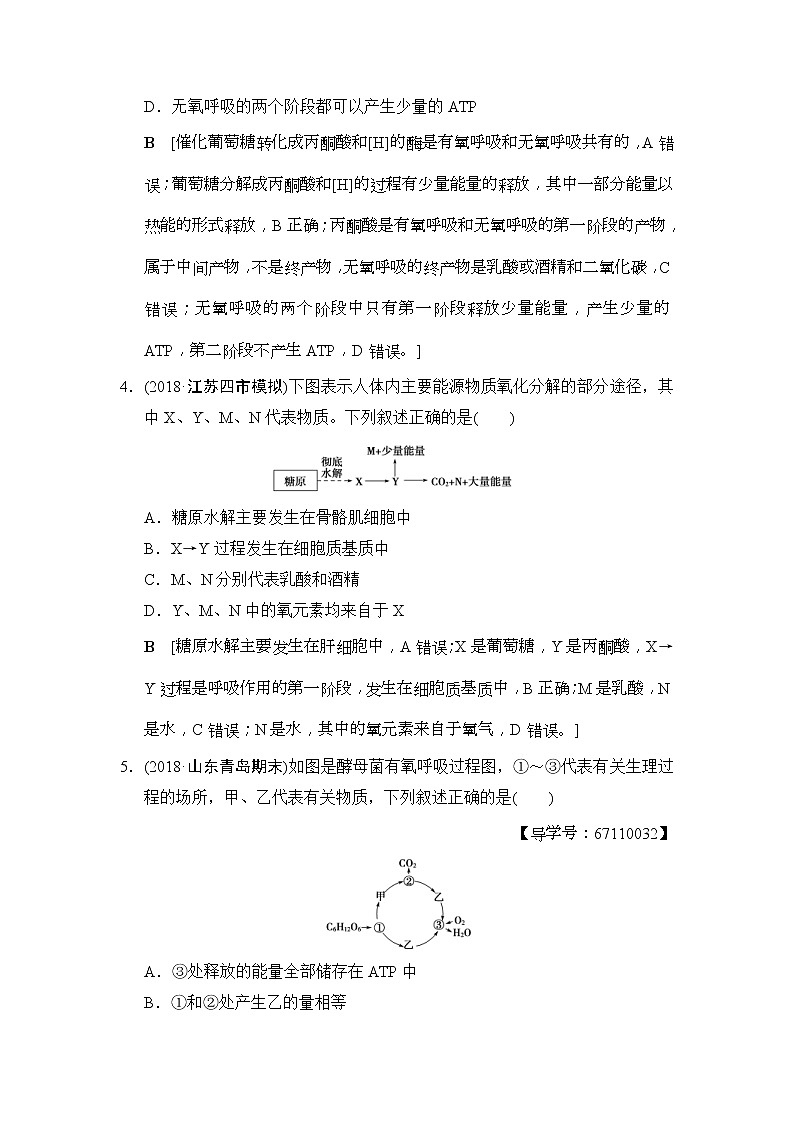 2019版高考生物一轮课时分层集训《09 细胞呼吸》(含解析) 试卷02