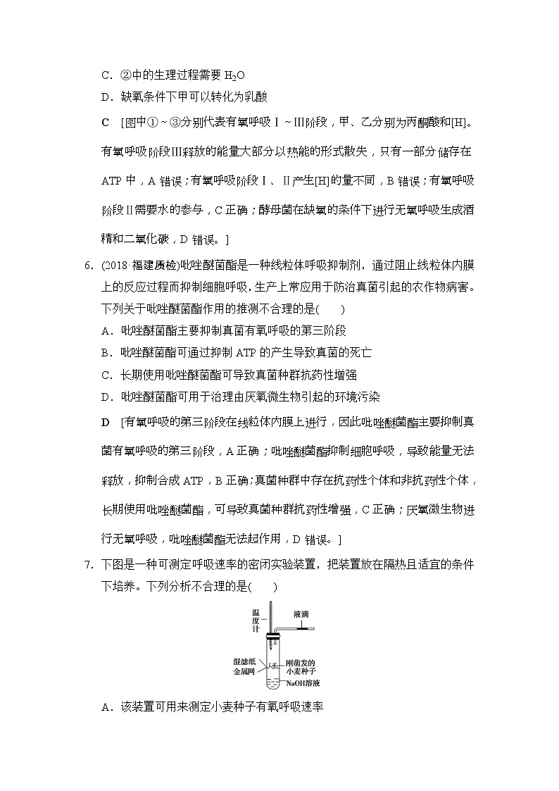 2019版高考生物一轮课时分层集训《09 细胞呼吸》(含解析) 试卷03