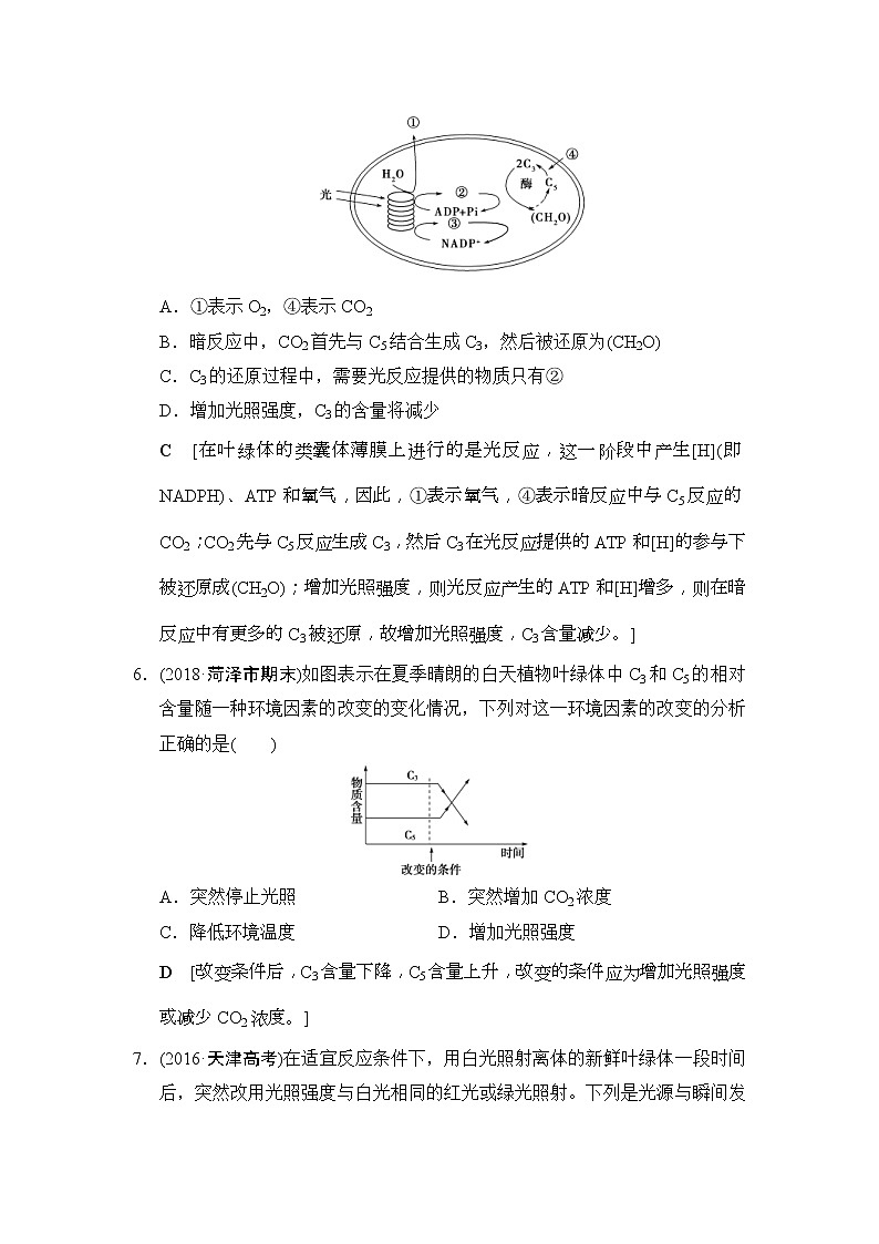 2019版高考生物一轮课时分层集训《10 光合作用(Ⅰ)》(含解析) 试卷03