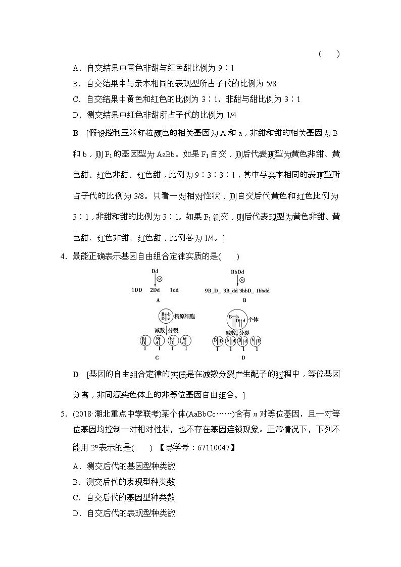 2019版高考生物一轮课时分层集训《16 孟德尔的豌豆杂交实验(二)》(含解析) 试卷02