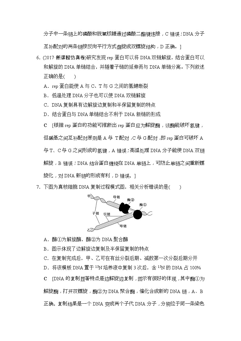 2019版高考生物一轮课时分层集训《19 DNA分子的结构、复制与基因的本质》(含解析) 试卷03