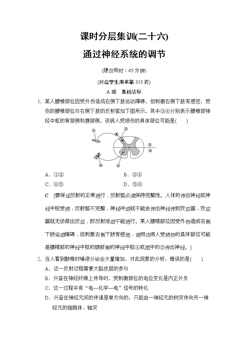 2019版高考生物一轮课时分层集训《26 通过神经系统的调节》(含解析) 试卷01