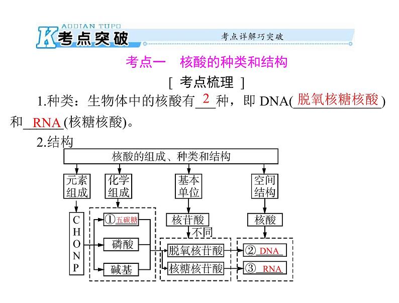 2020年高考生物一轮复习课件：必修1 第2章 第3、4节 遗传信息的携带者--核酸、细胞中的糖类和脂质(含答案)02