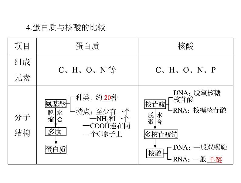 2020年高考生物一轮复习课件：必修1 第2章 第3、4节 遗传信息的携带者--核酸、细胞中的糖类和脂质(含答案)04