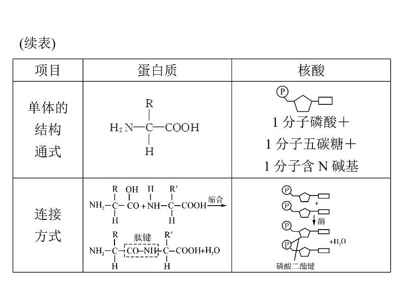 2020年高考生物一轮复习课件：必修1 第2章 第3、4节 遗传信息的携带者--核酸、细胞中的糖类和脂质(含答案)05