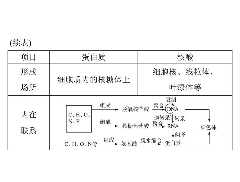 2020年高考生物一轮复习课件：必修1 第2章 第3、4节 遗传信息的携带者--核酸、细胞中的糖类和脂质(含答案)06