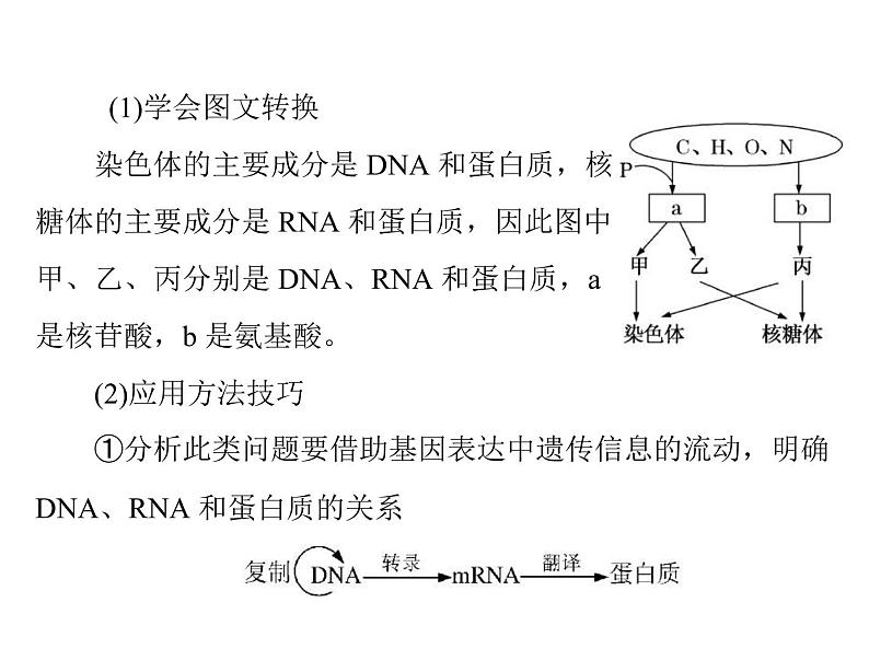 2020年高考生物一轮复习课件：必修1 第2章 第3、4节 遗传信息的携带者--核酸、细胞中的糖类和脂质(含答案)07