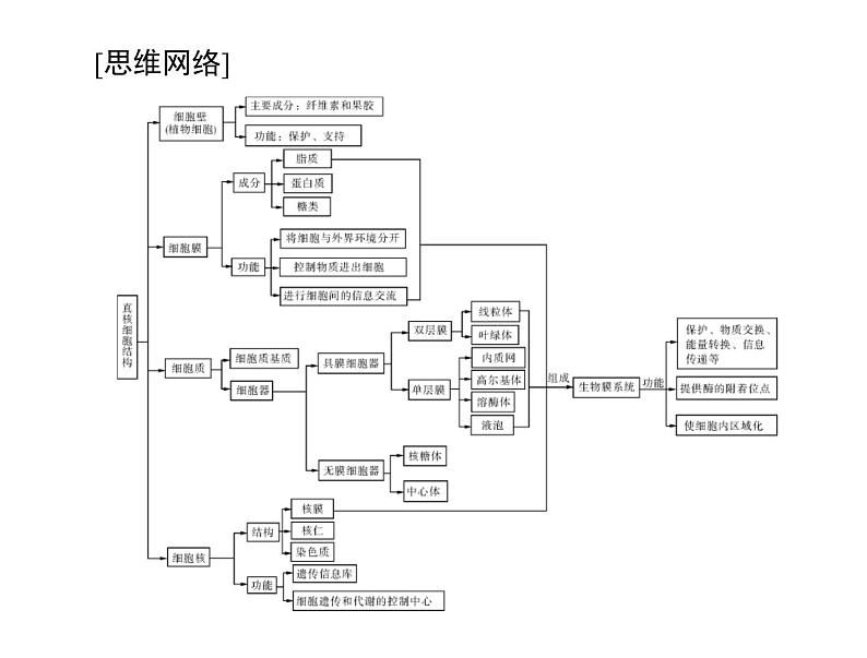 2020年高考生物一轮复习课件：必修1 第3章 第1、3节 细胞膜--系统的边界、细胞核--系统的控制中心(含答案)03