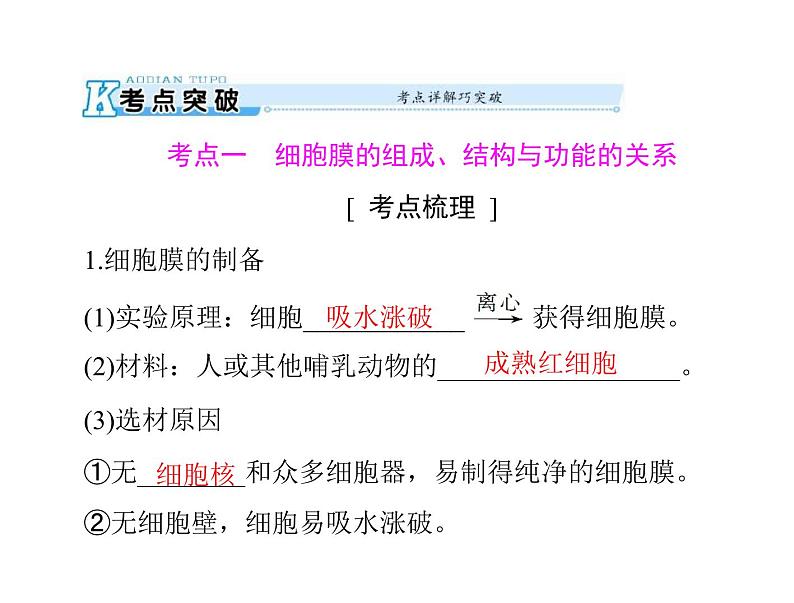 2020年高考生物一轮复习课件：必修1 第3章 第1、3节 细胞膜--系统的边界、细胞核--系统的控制中心(含答案)05