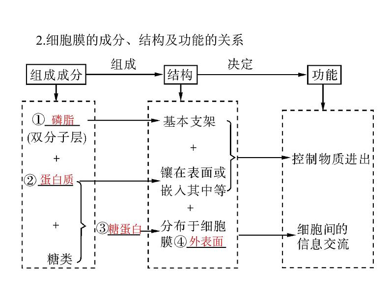 2020年高考生物一轮复习课件：必修1 第3章 第1、3节 细胞膜--系统的边界、细胞核--系统的控制中心(含答案)06