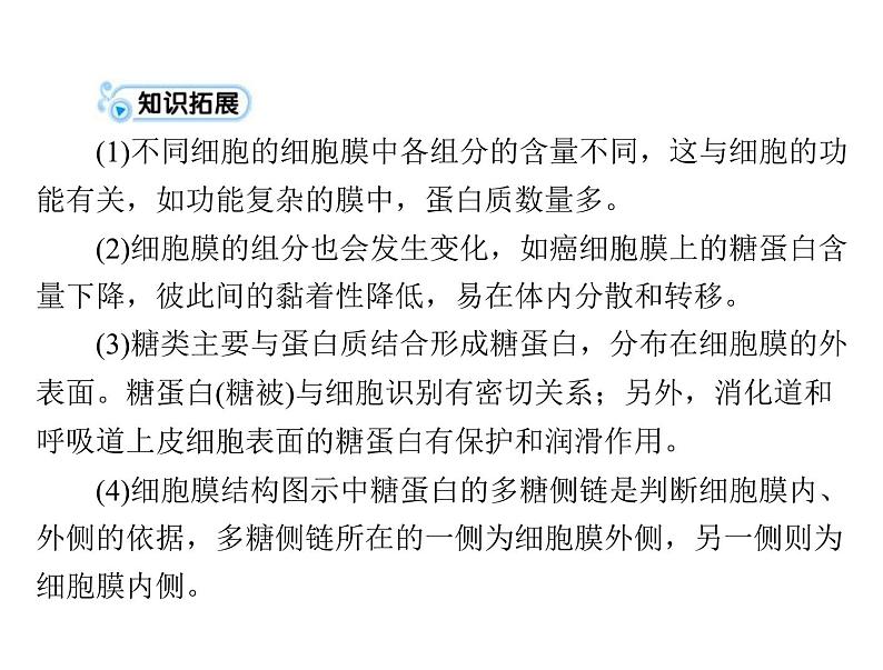 2020年高考生物一轮复习课件：必修1 第3章 第1、3节 细胞膜--系统的边界、细胞核--系统的控制中心(含答案)07