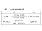 2020年高考生物一轮复习课件：必修1 小专题三 光合作用和呼吸作用题型突破(含答案)