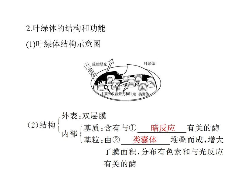 2020年高考生物一轮复习课件：必修1 第5章 第4节 能量之源--光与光合作用(含答案)03