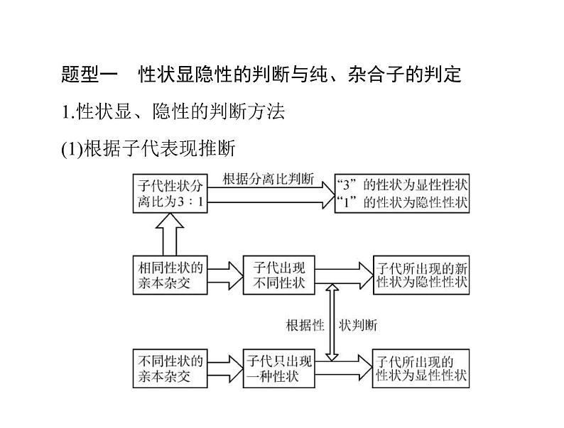 2020年高考生物一轮复习课件：必修2 小专题四 基因的分离定律、自由组合定律的应用及计算方法突破(含答案)第2页