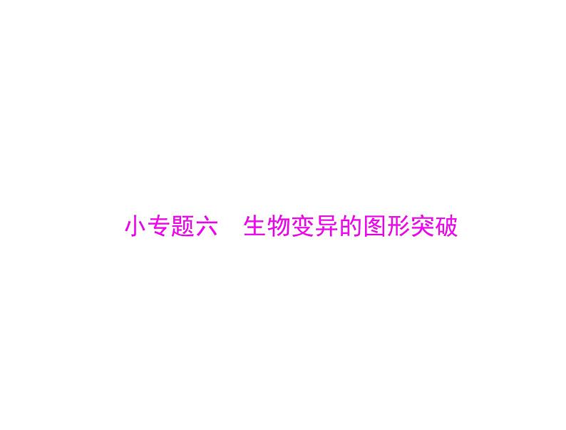 2020年高考生物一轮复习课件：必修2 小专题六 生物变异的图形突破(含答案)第1页