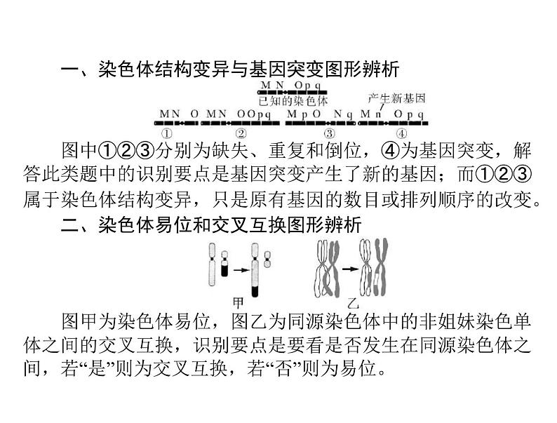 2020年高考生物一轮复习课件：必修2 小专题六 生物变异的图形突破(含答案)第2页