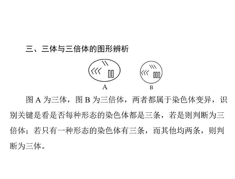 2020年高考生物一轮复习课件：必修2 小专题六 生物变异的图形突破(含答案)第3页