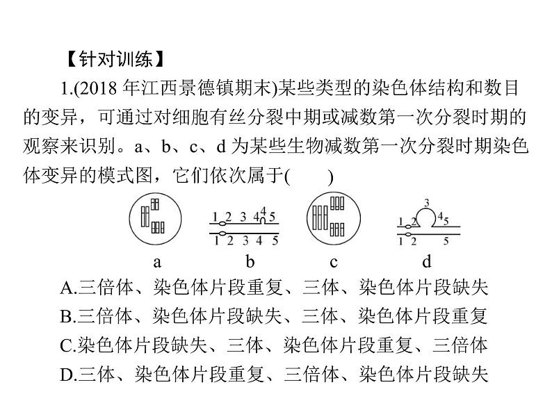 2020年高考生物一轮复习课件：必修2 小专题六 生物变异的图形突破(含答案)第4页