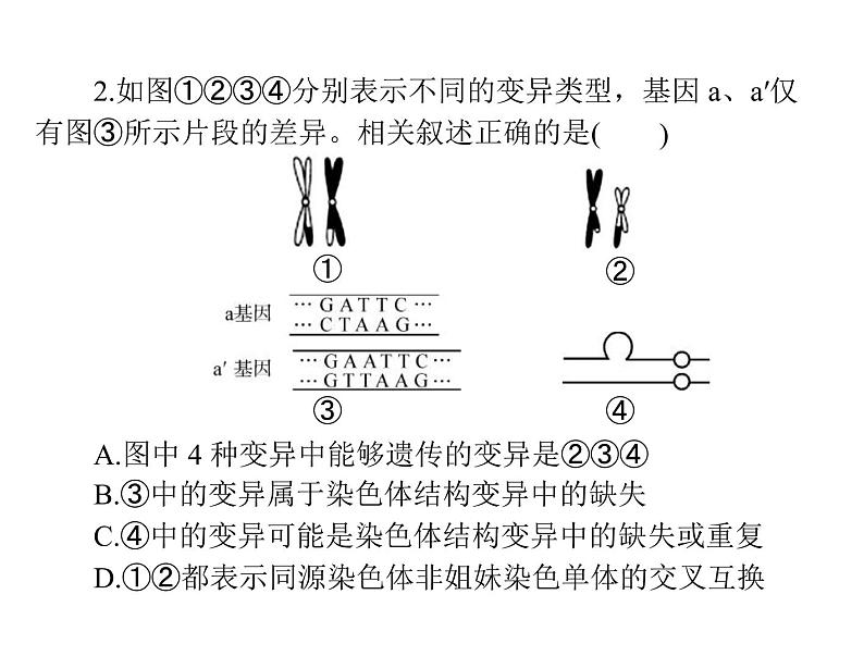 2020年高考生物一轮复习课件：必修2 小专题六 生物变异的图形突破(含答案)第6页