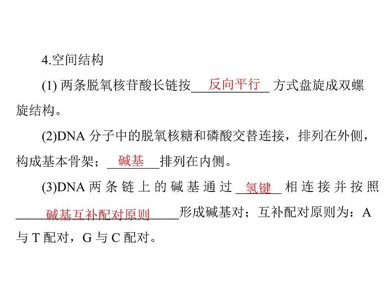 2020年高考生物一轮复习课件：必修2 第3章 第2、3、4节 DNA分子的结构、DNA的复制及基因是有遗传效应的DNA片段(含答案)04