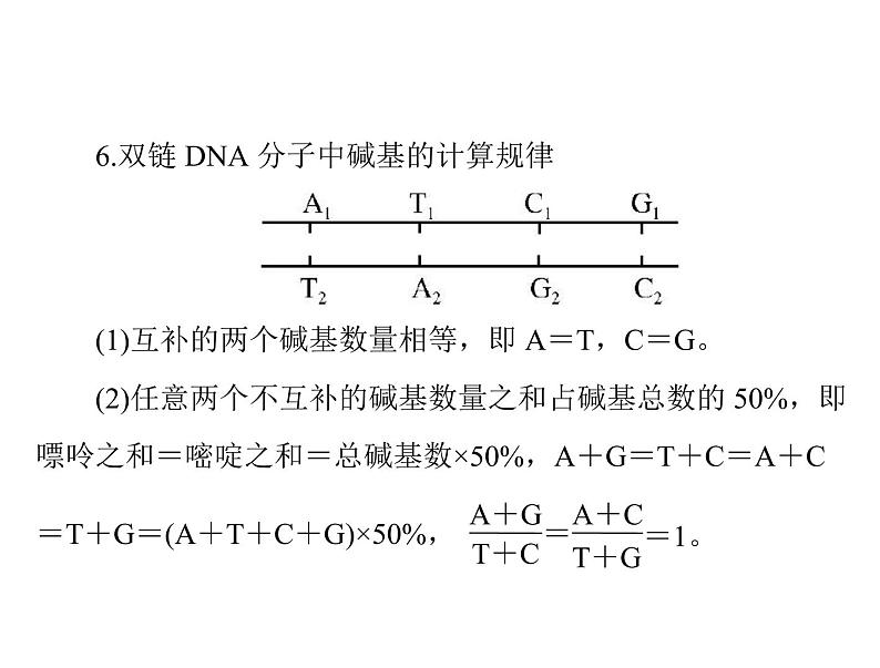 2020年高考生物一轮复习课件：必修2 第3章 第2、3、4节 DNA分子的结构、DNA的复制及基因是有遗传效应的DNA片段(含答案)08