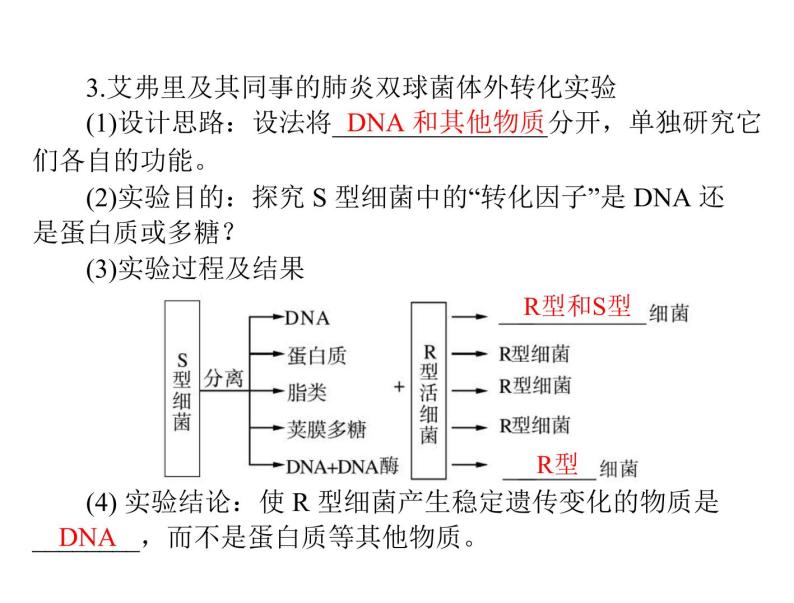 2020年高考生物一轮复习课件：必修2 第3章 第1节 DNA是主要的遗传物质(含答案)07