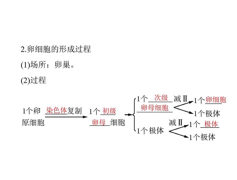 2020年高考生物一轮复习课件：必修2 第2章 第1节 减数分裂和受精作用(含答案)第7页