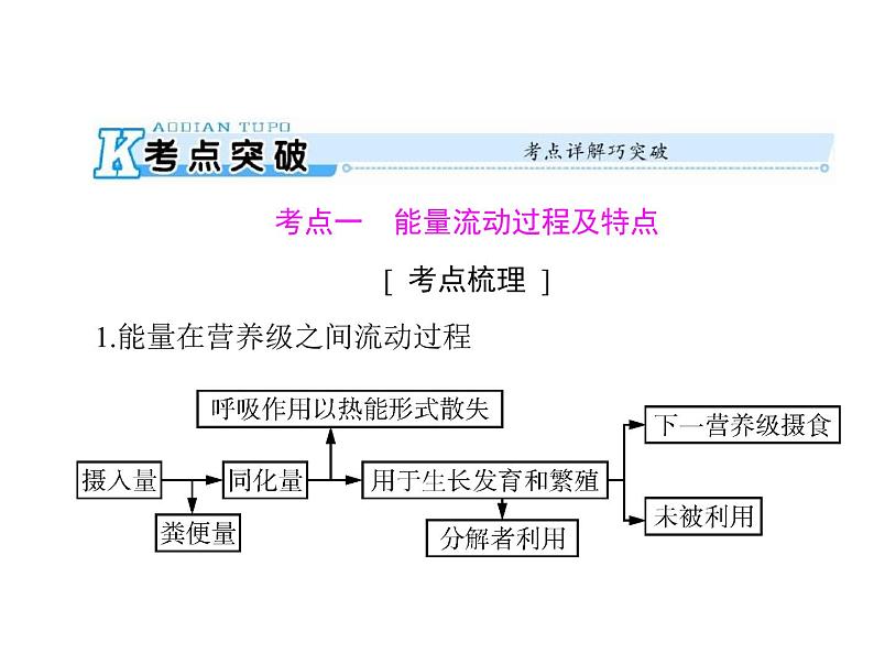 2020年高考生物一轮复习课件：必修3 第5章 第2、3节 生态系统的能量流动和物质循环(含答案)02