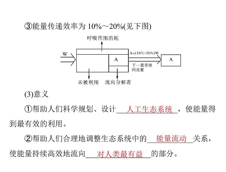 2020年高考生物一轮复习课件：必修3 第5章 第2、3节 生态系统的能量流动和物质循环(含答案)06