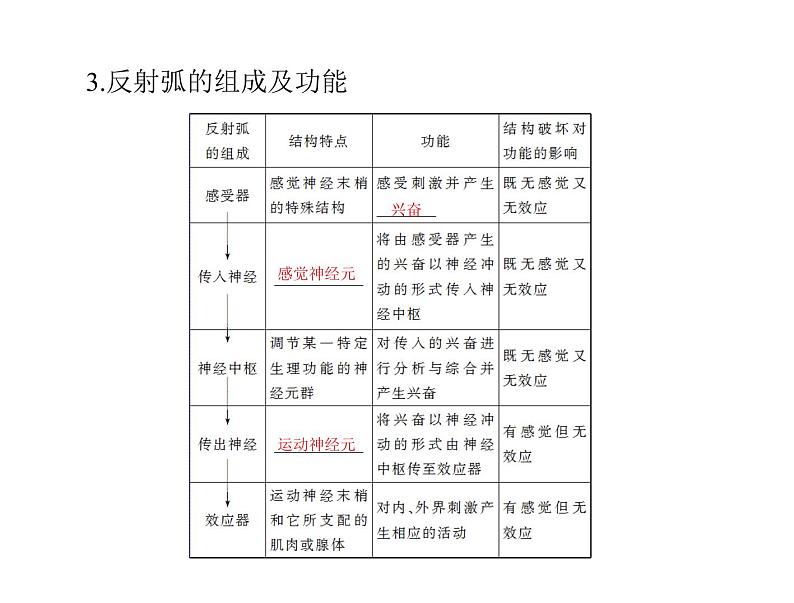 2020年高考生物一轮复习课件：必修3 第2章 第1节 通过神经系统的调节(含答案)06