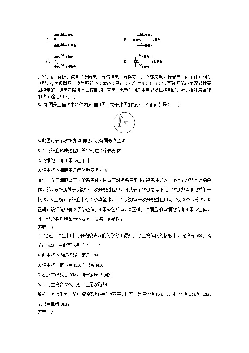 2019年高考生物一轮复习基础夯实练4（含解析）第3页