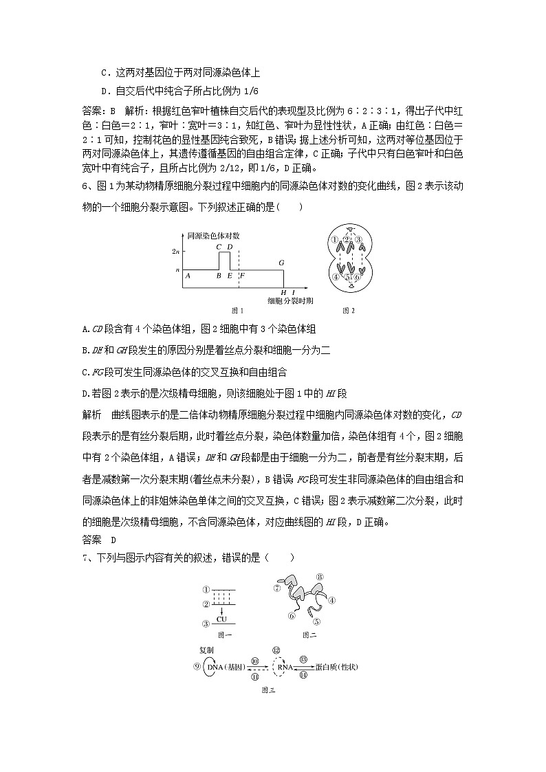 2019年高考生物一轮复习基础夯实练10（含解析）第3页