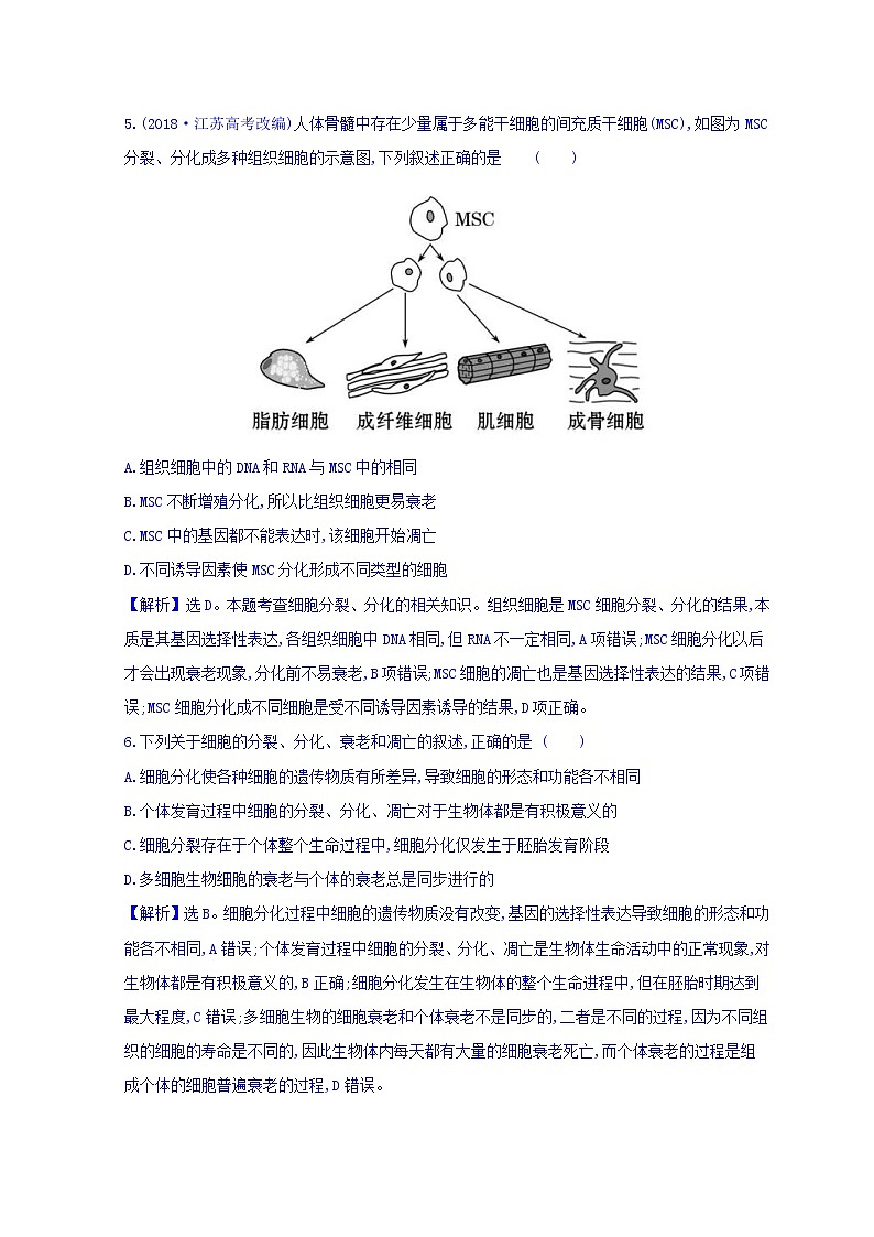2019版高考生物二轮练习：专题4 细胞的生命历程 专题能力提升练 专题4(含解析)03