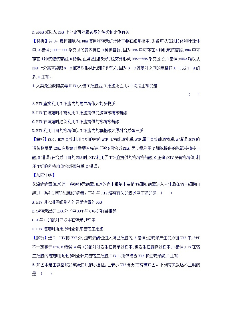 2019版高考生物二轮练习：专题5 遗传的分子基础 交汇题型过关练 2.5(含解析)02