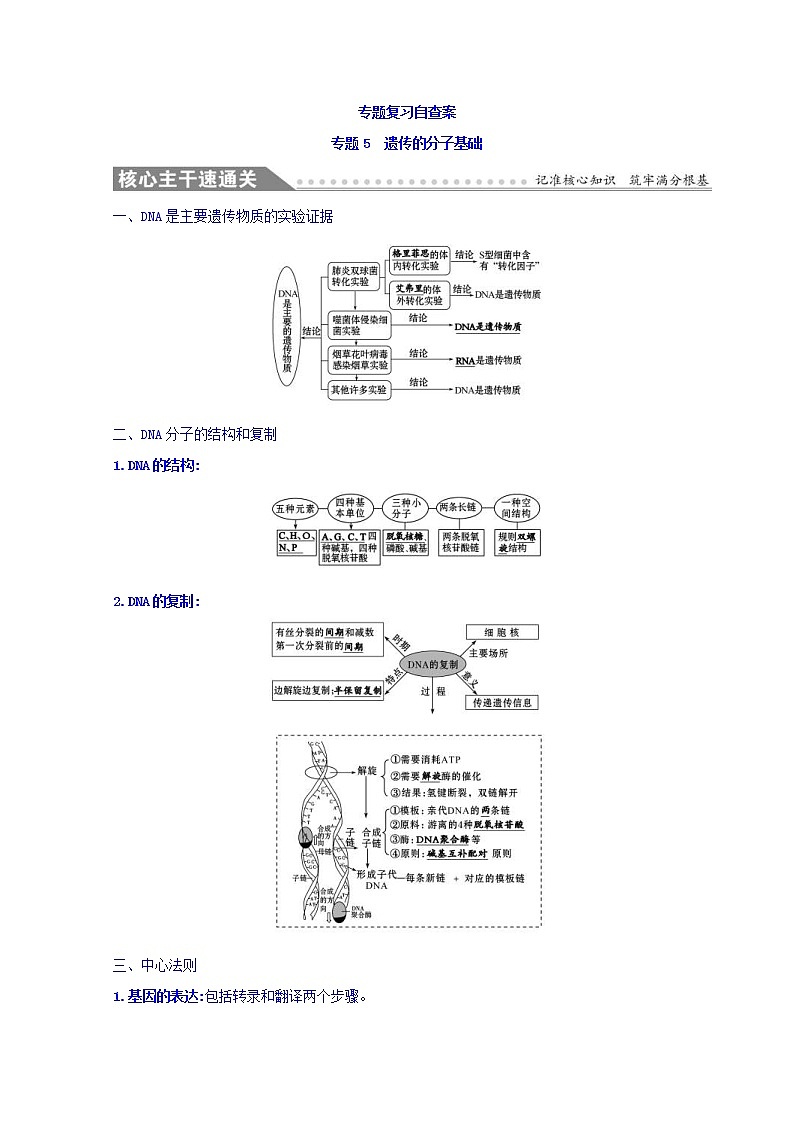 2019版高考生物二轮练习：专题5 遗传的分子基础 专题复习自查案 专题5(含解析)第1页