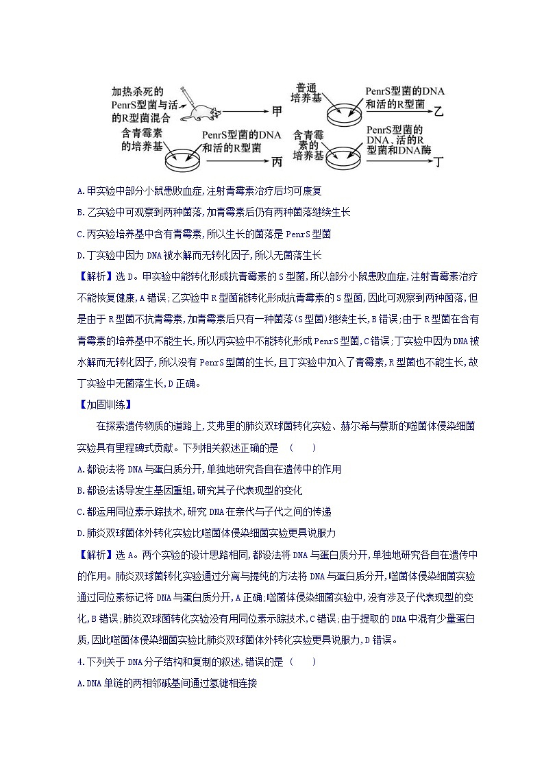 2019版高考生物二轮练习：专题5 遗传的分子基础 专题能力提升练 专题5(含解析)第2页