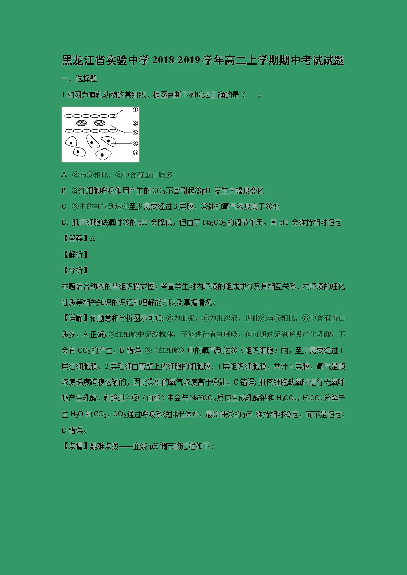 【生物】黑龙江省实验中学2018-2019学年高二上学期期中考试试题 （解析版）01