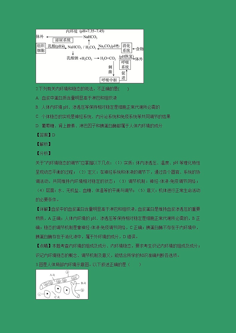 【生物】黑龙江省实验中学2018-2019学年高二上学期期中考试试题 （解析版）02