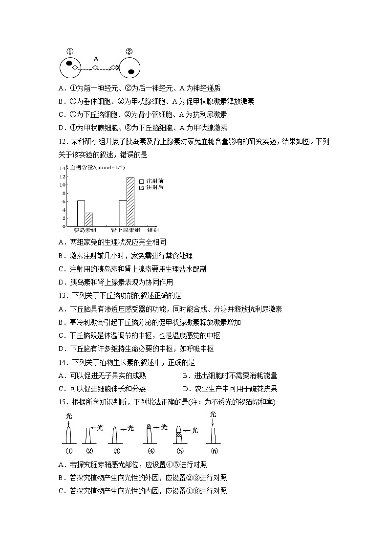 【生物】湖北省随州市第二高级中学、郧阳中学2018-2019学年高二上学期期中联考试题03
