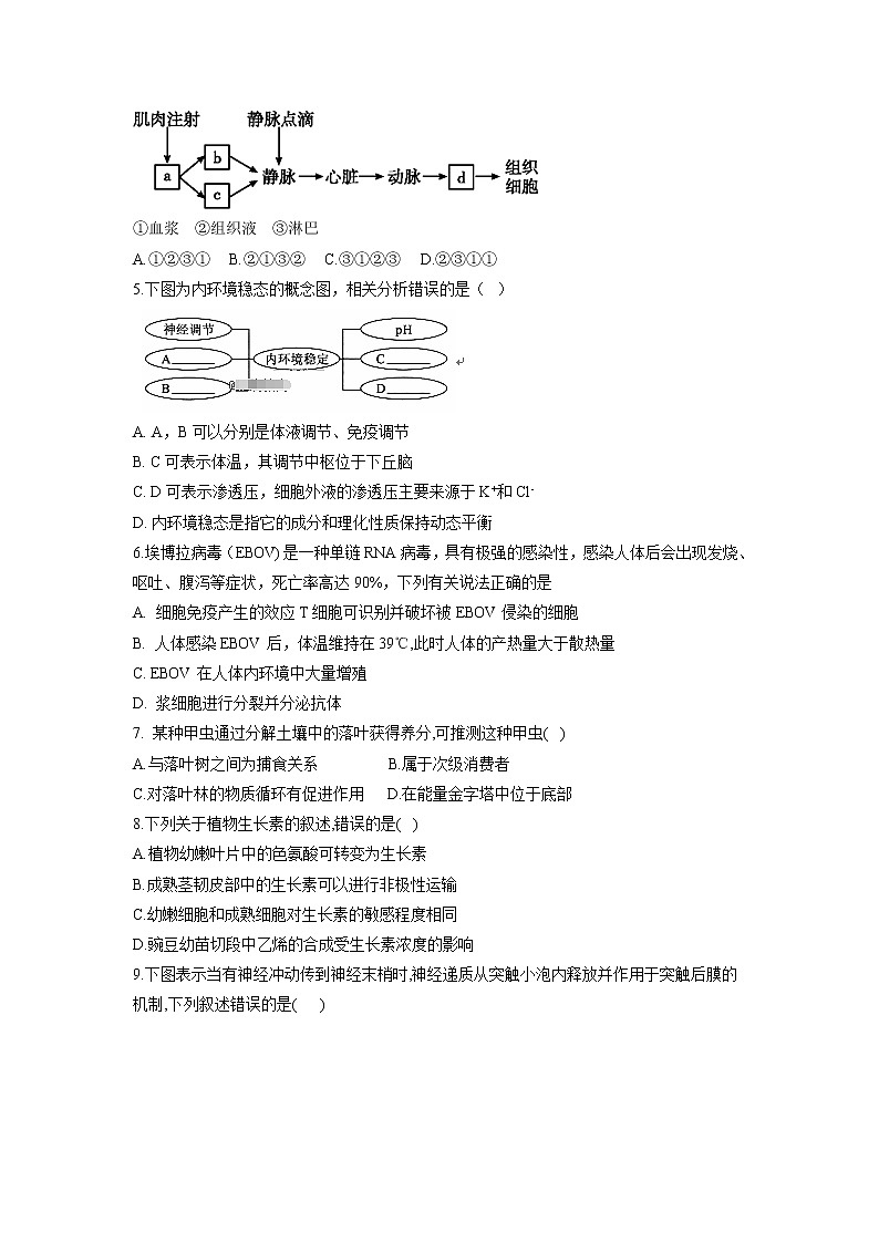 【生物】河北省承德市第一中学2018-2019学年高二上学期第二次月考（期中）试题第2页