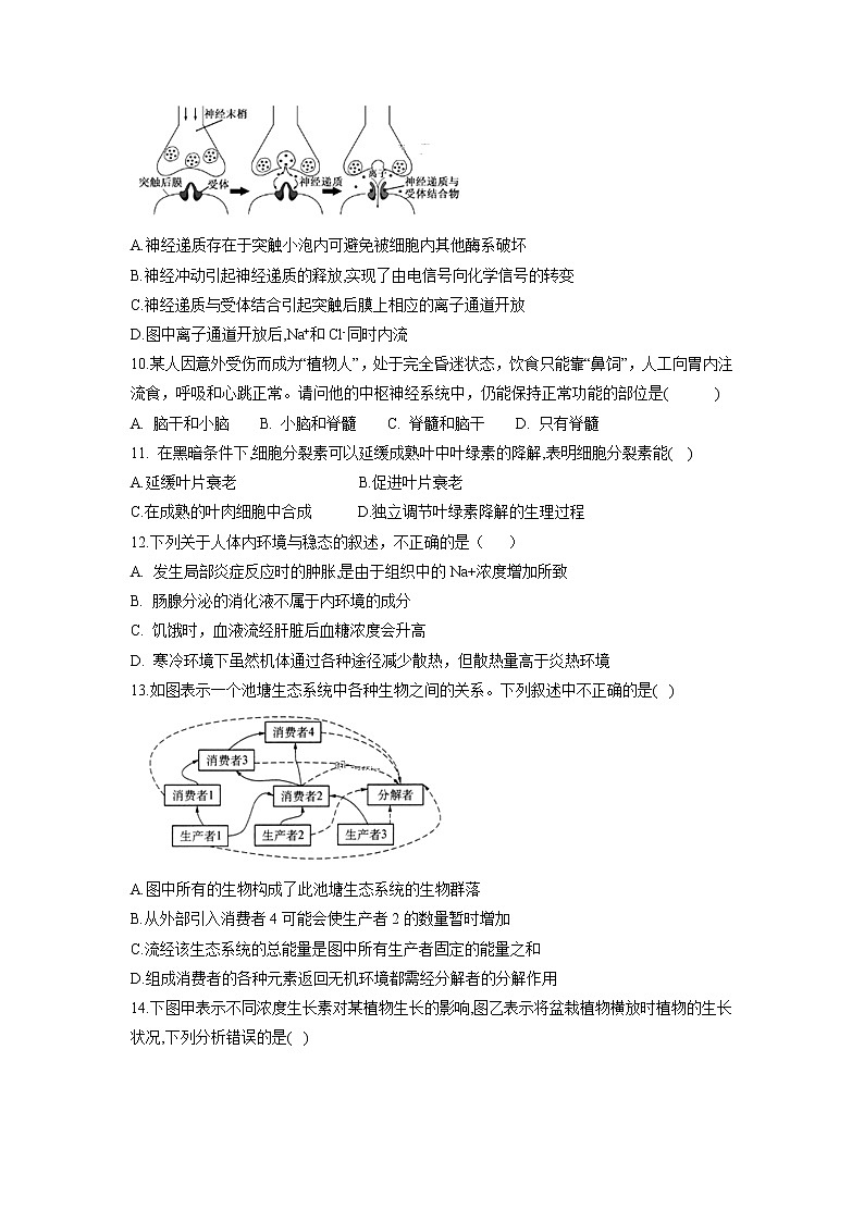 【生物】河北省承德市第一中学2018-2019学年高二上学期第二次月考（期中）试题第3页