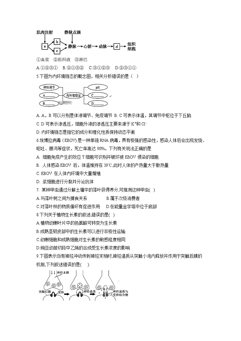 【生物】河北省邯郸市第一中学2018_2019学年高二上学期期中考试试题02
