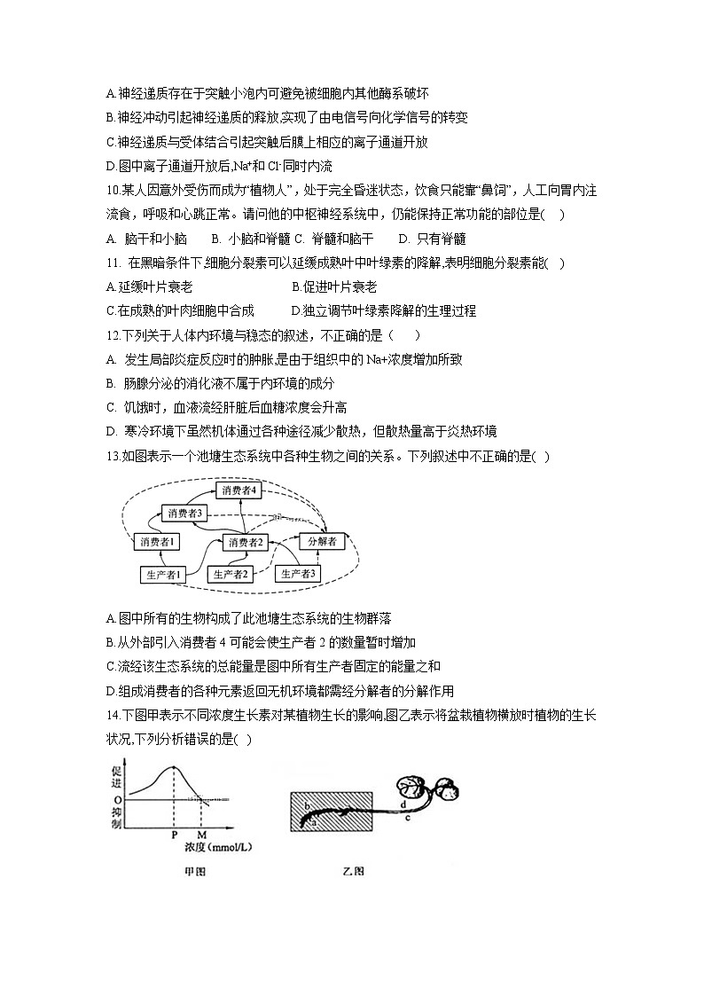 【生物】河北省邯郸市第一中学2018_2019学年高二上学期期中考试试题03