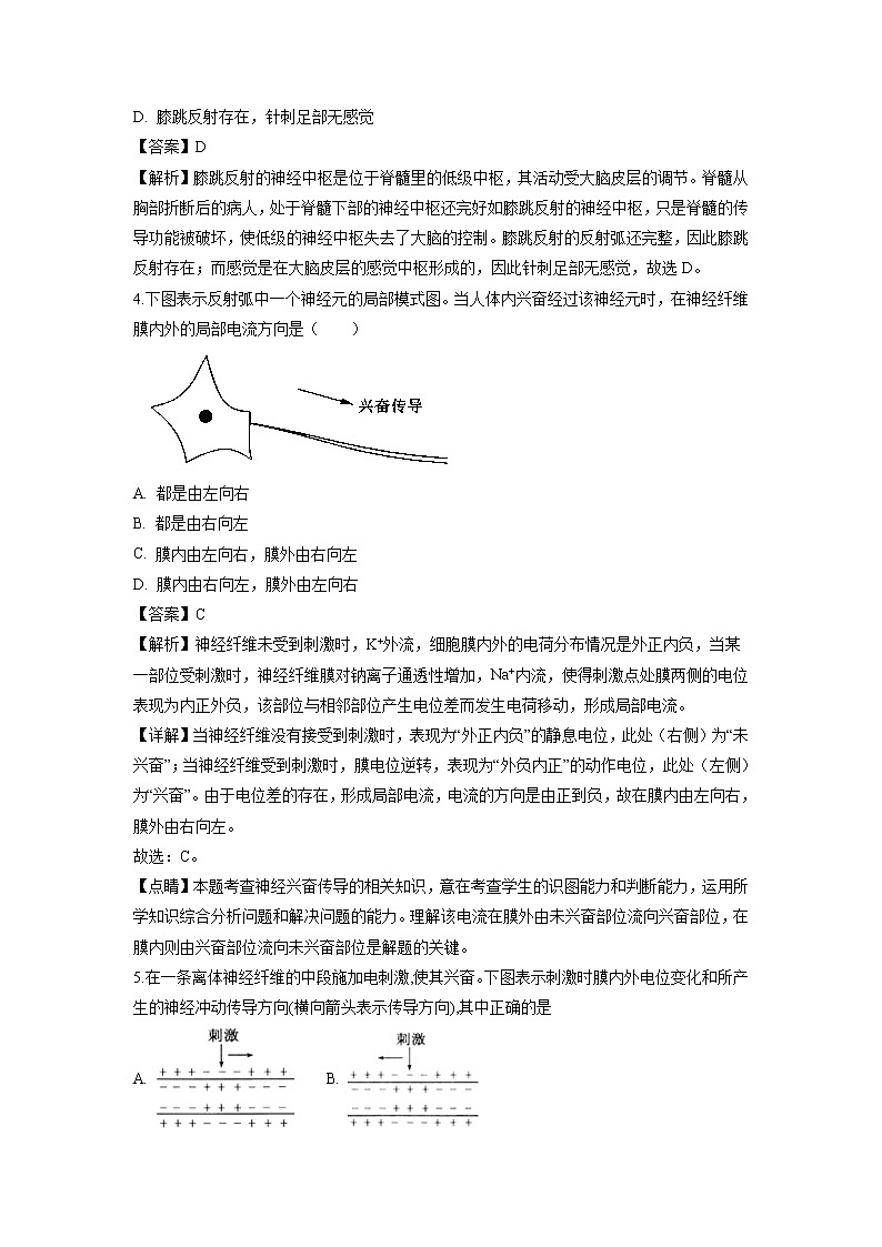 【生物】河北省石家庄市第二中学2018-2019学年高二上学期期中考试试卷（解析版）02