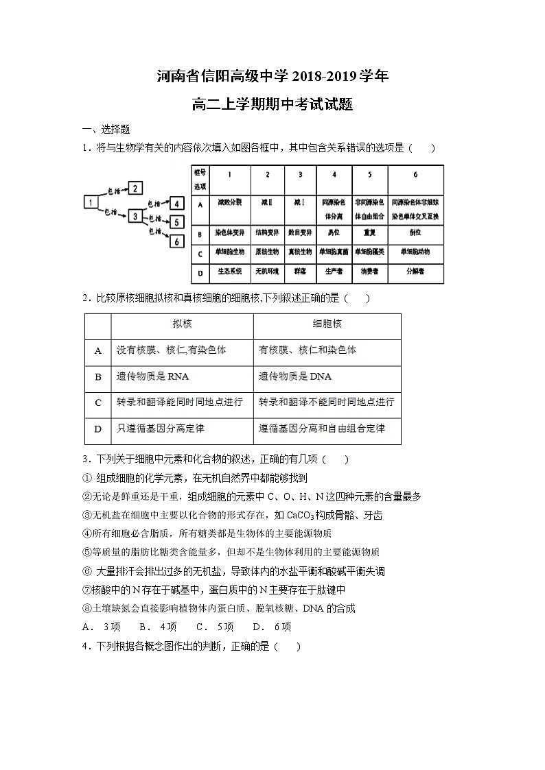 【生物】河南省信阳高级中学2018-2019学年高二上学期期中考试试题第1页