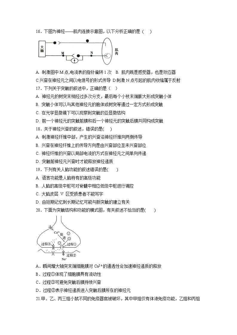 【生物】河南省周口中英文学校2018-2019学年高二上学期期中考试试题第3页