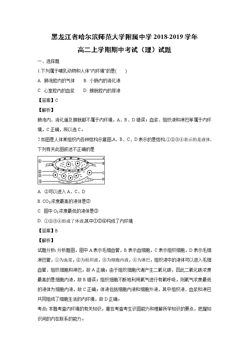 【生物】黑龙江省哈尔滨师范大学附属中学2018-2019学年高二上学期期中考试（理）试题 （解析版）01